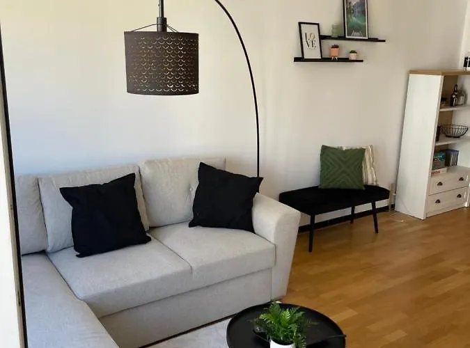 303 Place Leopold 1er A A 100m De La *